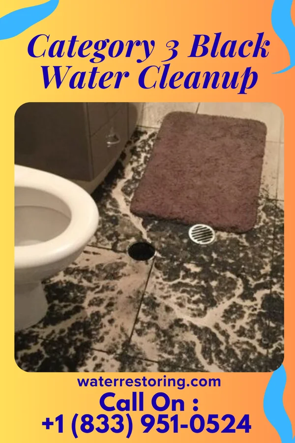 Category 3 Black Water Cleanup in Los Arcos, TX